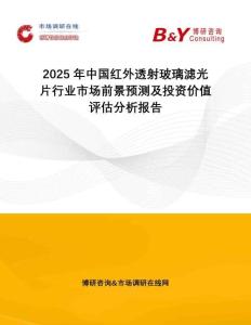 2025年中國(guó)紅外透射玻璃濾光片行業(yè)市場(chǎng)前景預(yù)測(cè)及投資價(jià)值評(píng)估分析報(bào)告