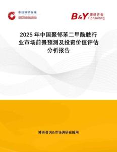 2025年中國聚鄰苯二甲酰胺行業(yè)市場前景預(yù)測及投資價值評估分析報告