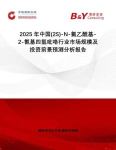 2025年中國(2S)-N-氯乙酰基-2-氰基四氫吡咯行業(yè)市場規(guī)模及投資前景預(yù)測分析報告