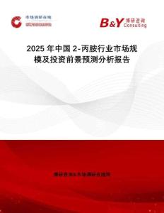 2025年中國2-丙胺行業(yè)市場規(guī)模及投資前景預測分析報告