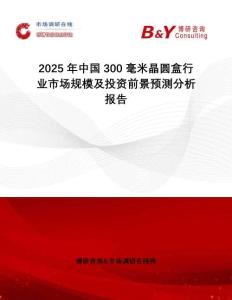 2025年中國300毫米晶圓盒行業(yè)市場規(guī)模及投資前景預測分析報告