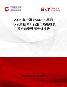 2025年中國FAM20B基因（XYLK抗體）行業(yè)市場規(guī)模及投資前景預(yù)測分析報告