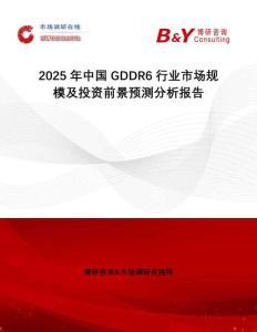 2025年中國GDDR6行業(yè)市場規(guī)模及投資前景預(yù)測分析報告