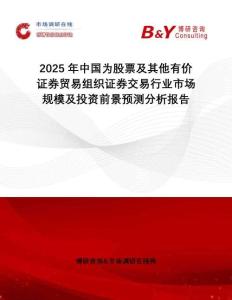 2025年中國為股票及其他有價(jià)證券貿(mào)易組織證券交易行業(yè)市場(chǎng)規(guī)模及投資前景預(yù)測(cè)分析報(bào)告
