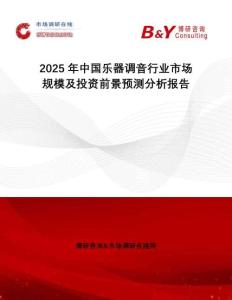 2025年中國樂器調(diào)音行業(yè)市場規(guī)模及投資前景預(yù)測分析報告