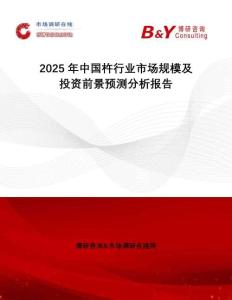 2025年中國杵行業(yè)市場規(guī)模及投資前景預測分析報告