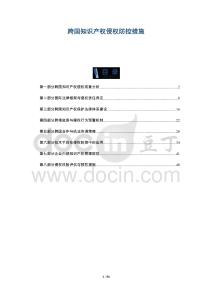 跨國知識產(chǎn)權(quán)侵權(quán)防控措施-洞察與解讀