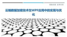 云端數(shù)據(jù)加密技術(shù)在WPF應(yīng)用中的實現(xiàn)與優(yōu)化-洞察與解讀