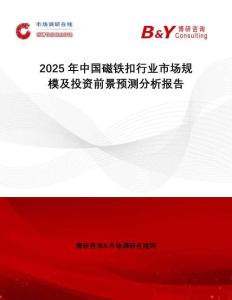 2025年中國磁鐵扣行業(yè)市場規(guī)模及投資前景預(yù)測分析報告