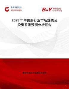 2025年中國酐行業市場規模及投資前景預測分析報告