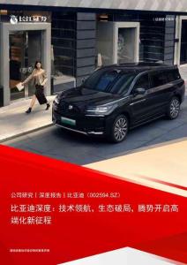 2025比亞迪深度報告：技術(shù)領(lǐng)航，生態(tài)破局，騰勢開啟高端化新征程