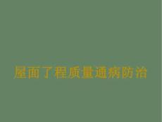 屋面工程質(zhì)量通病防治-4fd94ff9af23