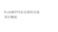 Win9或PPT9未完成待完成項目概述