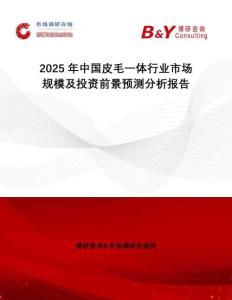 2025年中國皮毛一體行業(yè)市場規(guī)模及投資前景預(yù)測分析報(bào)告