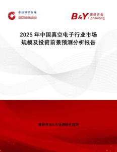 2025年中國真空電子行業市場規模及投資前景預測分析報告
