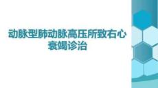 動脈型肺動脈高壓所致右心衰竭診治(1)
