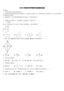 2025年晉州市中考數(shù)學(xué)全真模擬試題含解析