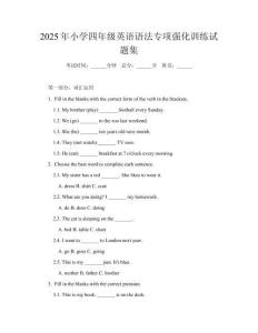 2025年小學四年級英語語法專項強化訓練試題集