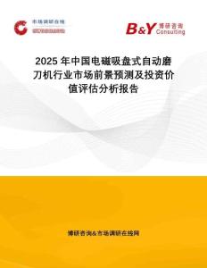 2025年中國電磁吸盤式自動磨刀機行業(yè)市場前景預測及投資價值評估分析報告