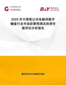 2025年中國(guó)筆記本電腦用數(shù)字鍵盤(pán)行業(yè)市場(chǎng)前景預(yù)測(cè)及投資價(jià)值評(píng)估分析報(bào)告