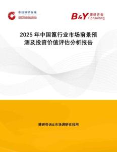2025年中國篦行業(yè)市場前景預測及投資價值評估分析報告