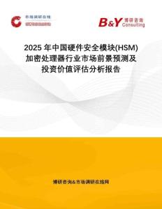 2025年中國硬件安全模塊(HSM)加密處理器行業(yè)市場前景預測及投資價值評估分析報告