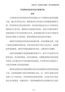 專項債券資金項目執(zhí)行質(zhì)量評估