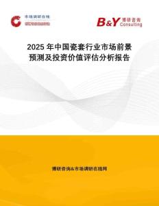 2025年中國瓷套行業(yè)市場前景預測及投資價值評估分析報告