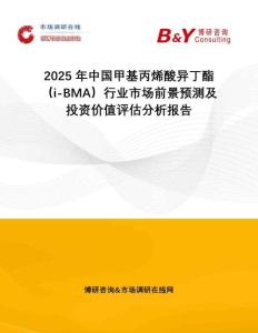 2025年中國甲基丙烯酸異丁酯（i-BMA）行業(yè)市場前景預(yù)測及投資價值評估分析報告