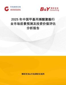 2025年中國甲基丙烯酸聚酯行業(yè)市場前景預(yù)測及投資價值評估分析報告