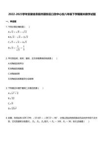 2022-2023學(xué)年安徽省阜陽市潁東區(qū)口孜中心校八年級下學(xué)期期末數(shù)學(xué)試題