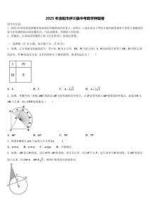 2025年洛陽(yáng)市伊川縣中考數(shù)學(xué)押題卷含解析