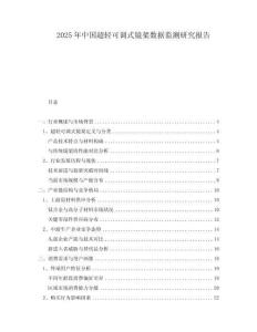 2025年中國超輕可調式鏡架數據監(jiān)測研究報告