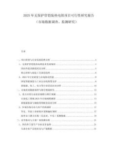 2025年無保護管鎧裝熱電阻項目可行性研究報告（市場數(shù)據調查、監(jiān)測研究）