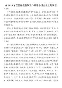 在2025年區(qū)委巡視整改工作領(lǐng)導(dǎo)小組會(huì)議上的講話