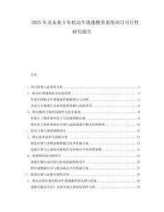 2025年及未來(lái)5年機(jī)動(dòng)車逃逸稽查系統(tǒng)項(xiàng)目可行性研究報(bào)告