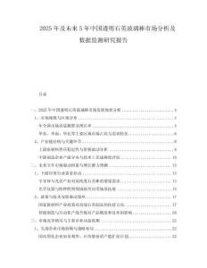 2025年及未來5年中國(guó)透明石英玻璃棒市場(chǎng)分析及數(shù)據(jù)監(jiān)測(cè)研究報(bào)告