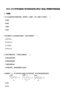 2022-2023學(xué)年安徽省六安市裕安區(qū)青山學(xué)校八年級上學(xué)期期中物理試題