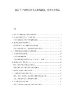 2025年中國倒后鏡市場數據調查、監(jiān)測研究報告