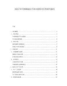 2025年中国钢窗拉手项目投资可行性研究报告