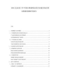 2025及未來5年中國壓塑透明幻彩牙拉鏈?zhǔn)袌龇治黾皵?shù)據(jù)監(jiān)測研究報告
