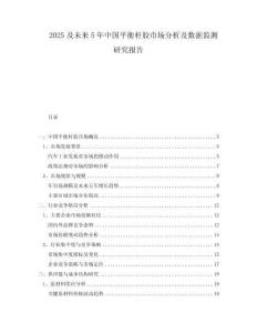 2025及未來5年中國平衡桿膠市場分析及數(shù)據(jù)監(jiān)測研究報告