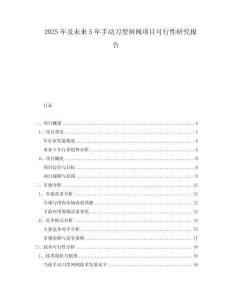 2025年及未來5年手動刀型閘閥項目可行性研究報告