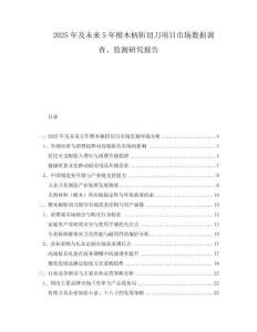 2025年及未來(lái)5年檀木柄斬切刀項(xiàng)目市場(chǎng)數(shù)據(jù)調(diào)查、監(jiān)測(cè)研究報(bào)告