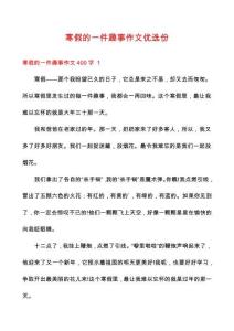 寒假的一件趣事作文優(yōu)選份