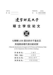 七鰓鰻LC3C蛋白的分子鑒定及其細(xì)胞自噬代償功能初探