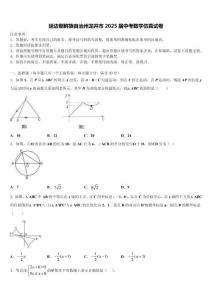 延邊朝鮮族自治州龍井市2025屆中考數(shù)學(xué)仿真試卷含解析