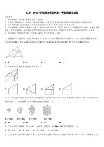 2024-2025學年浙江省泉州市中考五模數學試題含解析