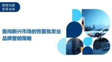 面向新興市場的牲畜批發(fā)業(yè)品牌營銷策略-洞察及研究