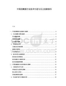 中國戊酰胺行業(yè)技術引進與自主創(chuàng)新報告